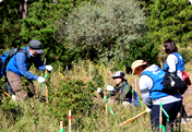 Participation in "Forestation with Water and Greenery" Prefectural Resident Volunteer Activity