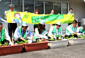 Gifu Midori Ippai Project "7th Consecutive Year! Green Curtains Initiative"