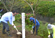 Rice Terrace Conservation Activity by Corporate Volunteers (October)