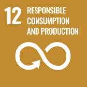 12 Responsible Consumption and Production