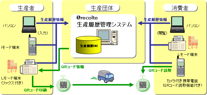 1.本システムの概要