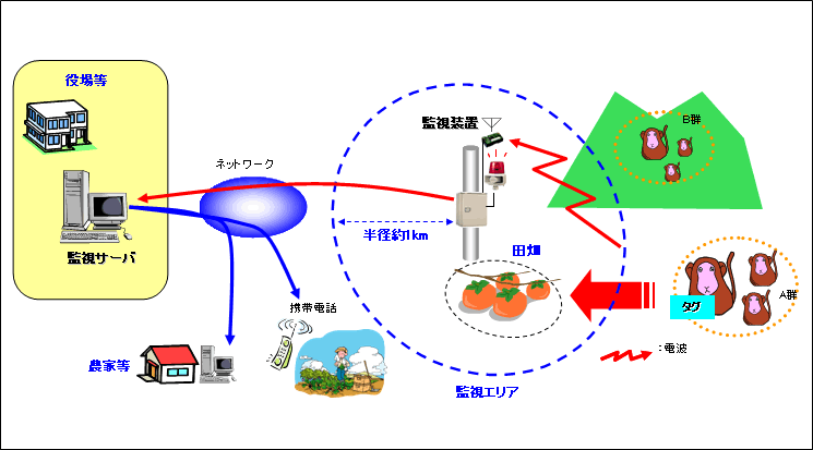 VXeTv}