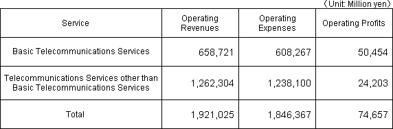 Basic Telecommunications Services Profit and Loss Statement