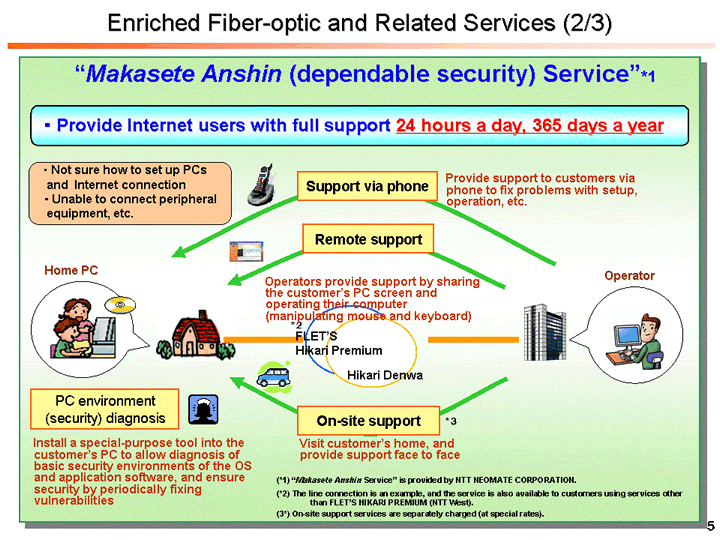 Enriched Fiber-optic and Related Services (2/3)