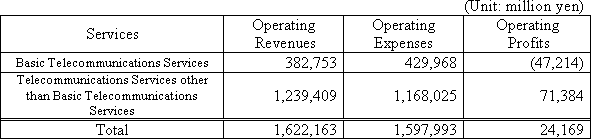 Basic Telecommunications Services Profit and Loss Statement