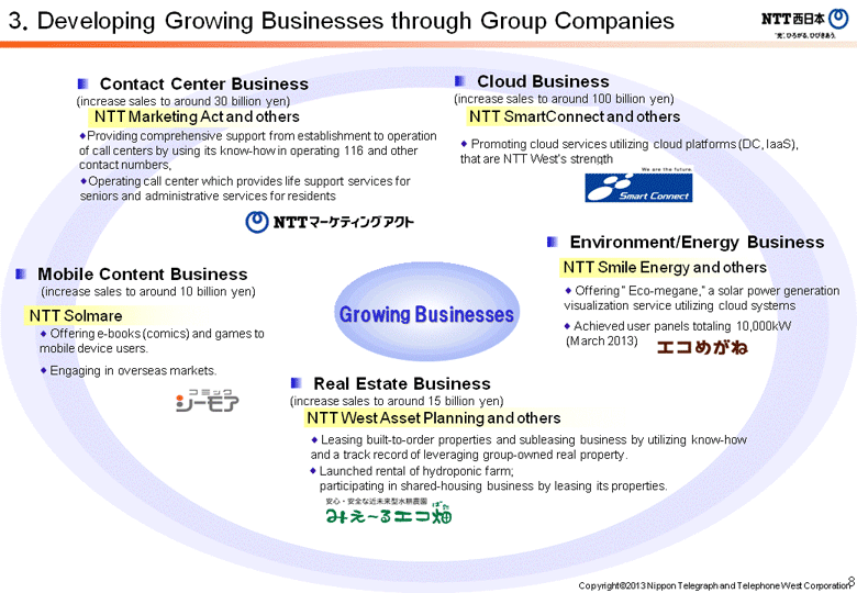 3. Developing Growing Businesses through Group Companies