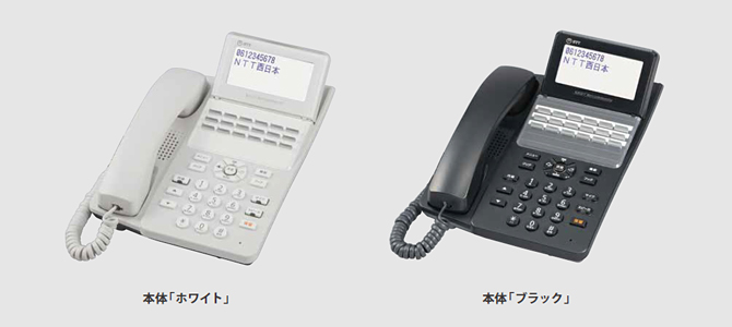 NTT西日本】SmartNetcommunity αN1 type L（情報機器）の基本情報(価格 